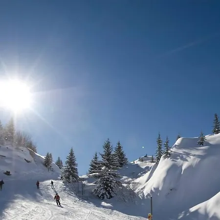 Chalet Des Cousins: Fantastic Alpine
